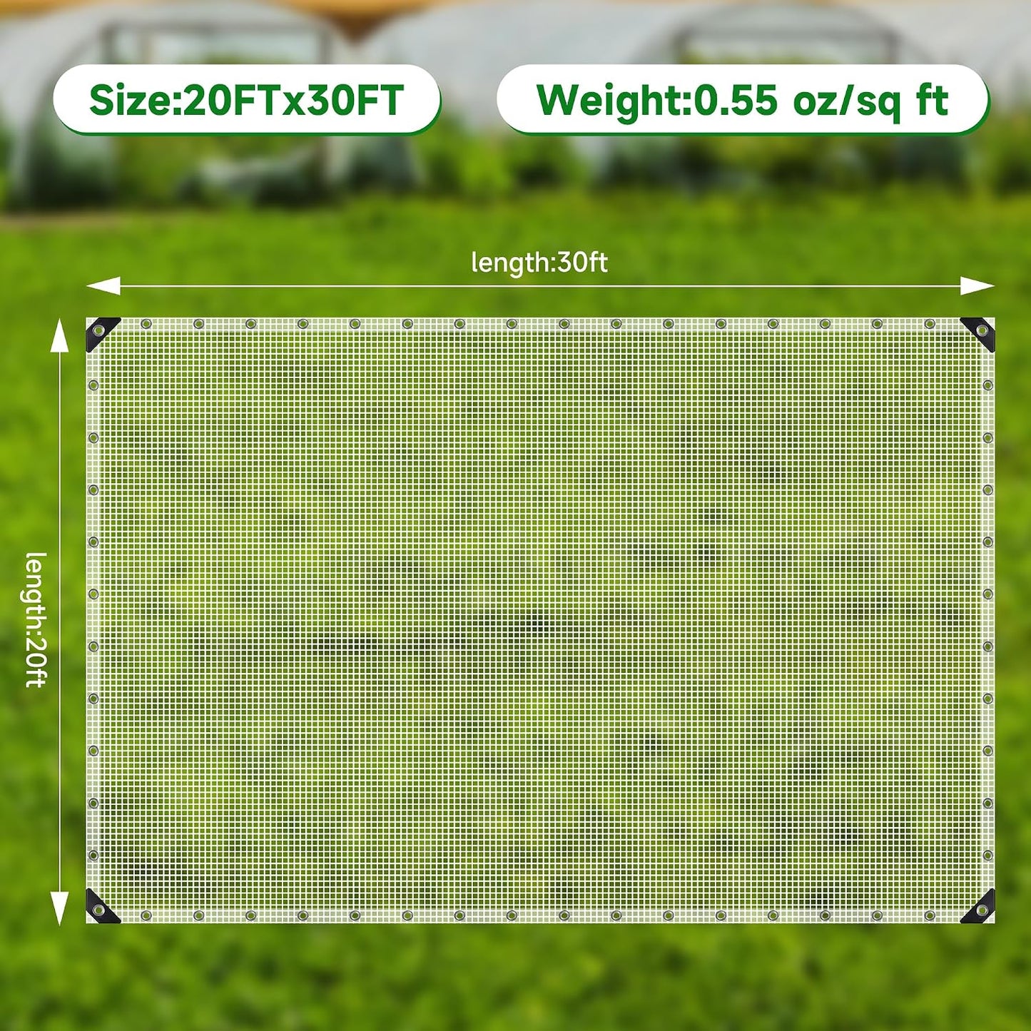 Clear Greenhouse Plastic Covering, 16Mil Thickness Heavy Duty Clear tarp for Chicken coop, Greenhouse Plastic sheeting with Hemmed Edges & preinstalled Grommets (White, 20x30ft)