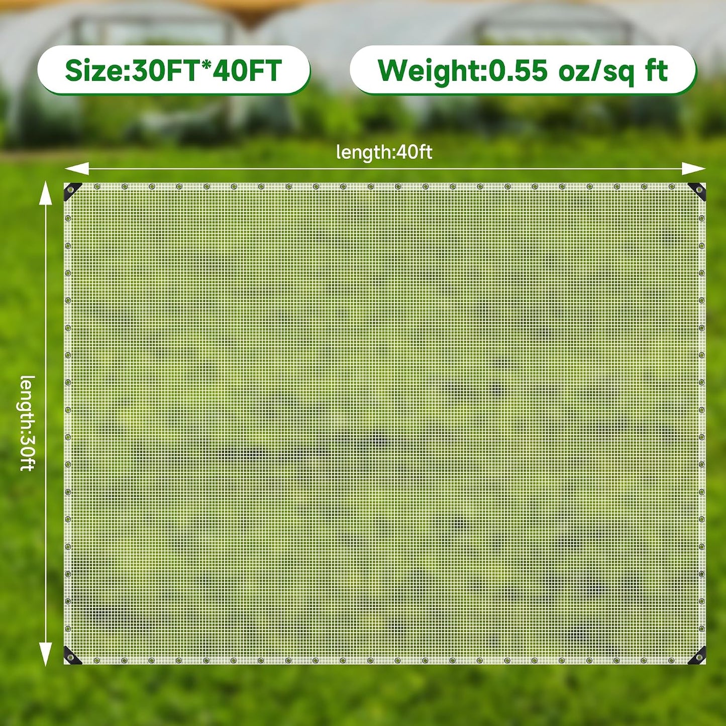 Clear Greenhouse Plastic Covering, 16Mil Thickness Heavy Duty Clear tarp for Chicken coop, Greenhouse Plastic sheeting with Hemmed Edges & preinstalled Grommets (white, 30x40ft)