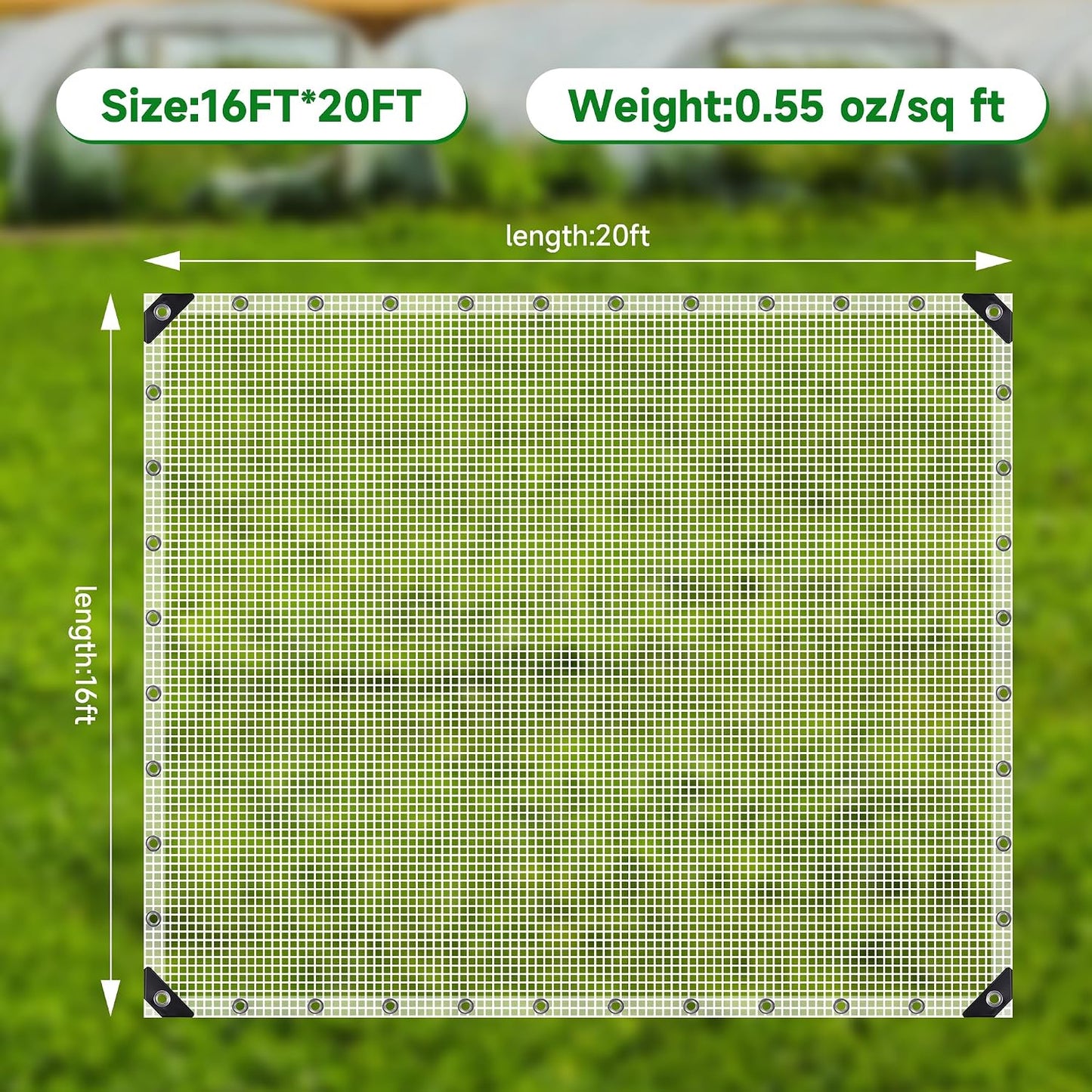 Clear Greenhouse Plastic Covering, 16Mil Thickness Heavy Duty Clear tarp for Chicken coop, Greenhouse Plastic sheeting with Hemmed Edges & preinstalled Grommets (White, 16x20ft)
